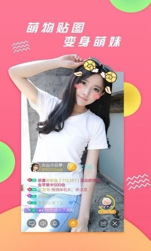 暖心直播 电脑版官网版