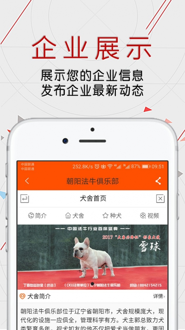 恋狗网 电脑版官网版