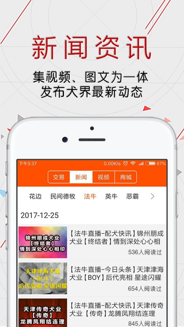 恋狗网 电脑版官网版