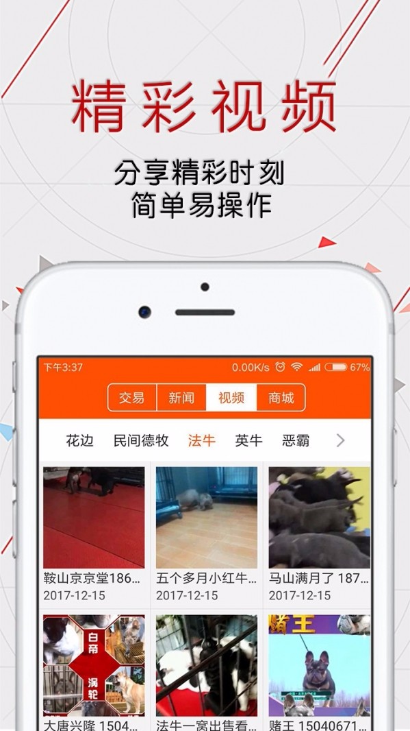 恋狗网 电脑版官网版