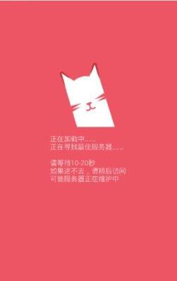 喵咪