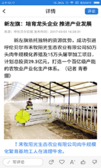 魅力新左旗