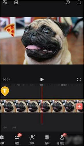 Videoleap破解版