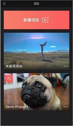Videoleap破解版