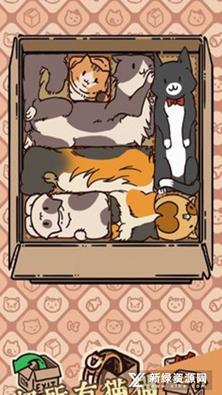 盒子猫关卡全解锁版修改版