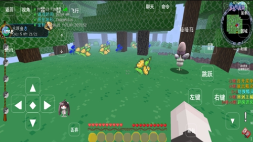 梦想精灵谷