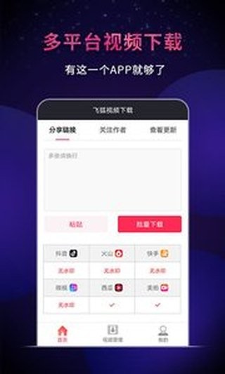 飞狐视频下载器
