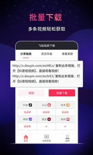 飞狐视频下载器