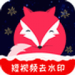 飞狐视频下载器