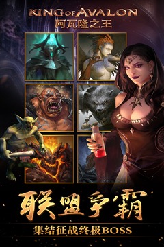 阿瓦隆之王安卓版