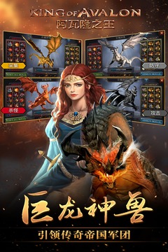 阿瓦隆之王安卓版