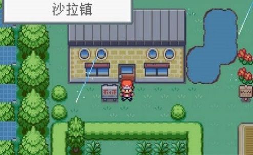 口袋妖怪究极绿宝石安卓版