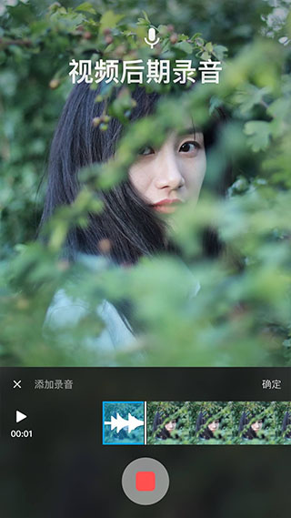 猫饼