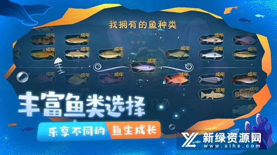 一只鱼正版官方手游