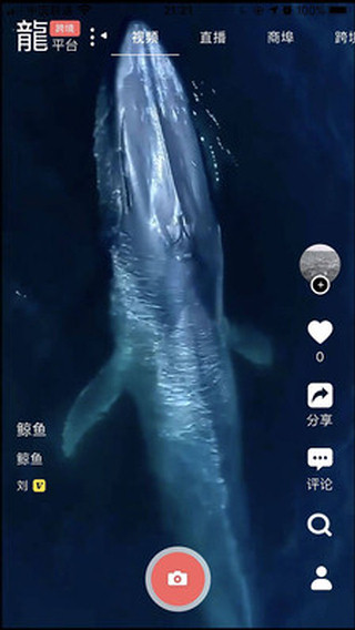 龙平台影视