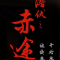 潜伏之赤途安卓版