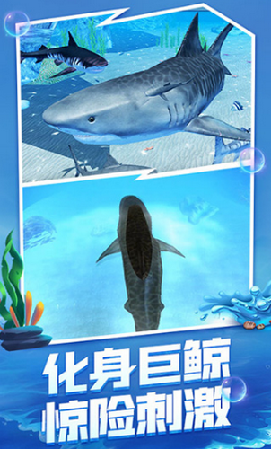 海底大猎杀
