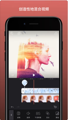 Enlight Videoleap app