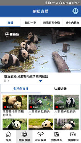 熊猫频道