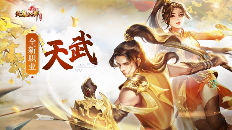天龙八部荣耀版iOS版