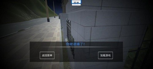 小偷模拟器