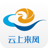 云上来凤