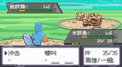口袋妖怪绿宝石随机版安卓版