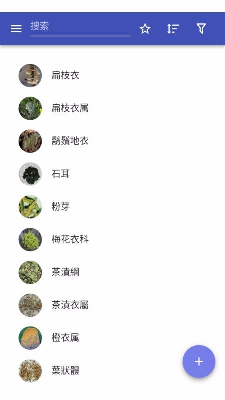 地衣