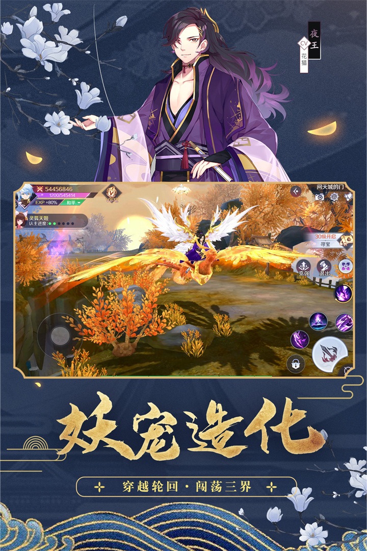 天姬变安卓版