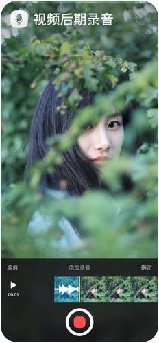 猫饼苹果版