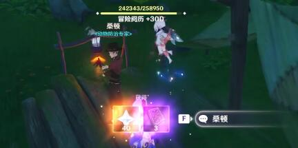 原神须弥固若金汤攻略