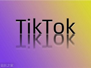 TikTok将推出独立游戏频道