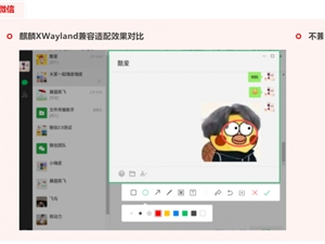 百万生态如何而来？揭秘麒麟软件适配技术
