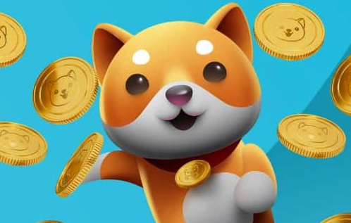 BabyDoge币会成为百倍币吗？