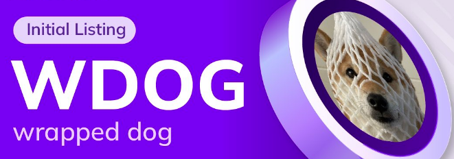 如何进行 Wrapped Dog 到其他币种的转换？
