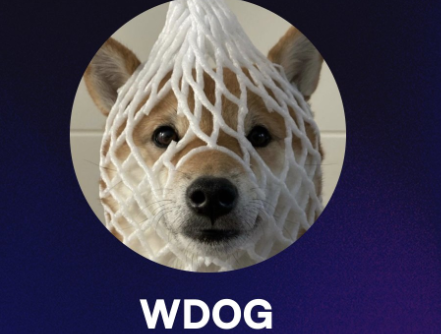 Wrapped Dog 是什么？