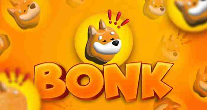 BONK币2025年能涨到多少？会成为百倍币吗？