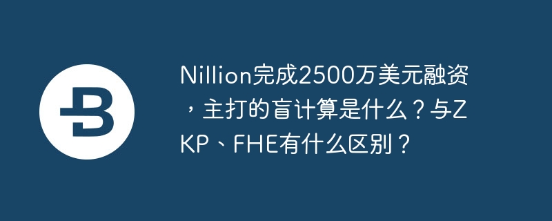 Nillion完成2500万美元融资，主打的盲计算是什么？与ZKP、FHE有什么区别？